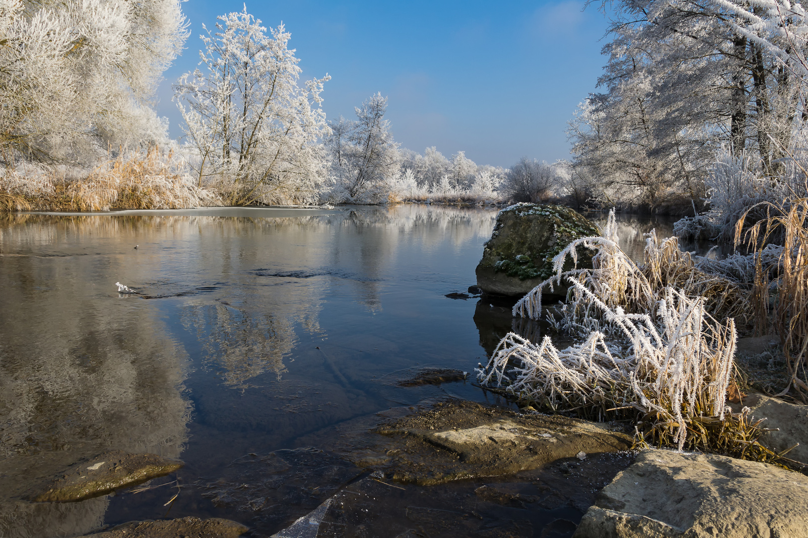 Vilsauen im Raureif 3