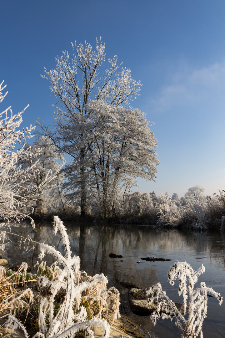 Vilsauen im Raureif 4