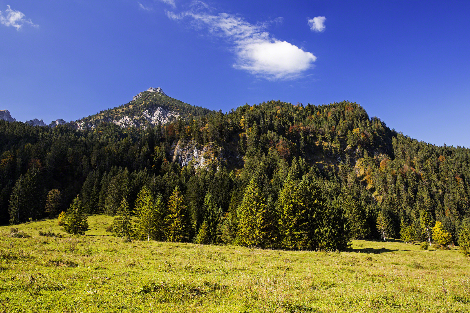 Vilser Kegel und Oberbodenkopf