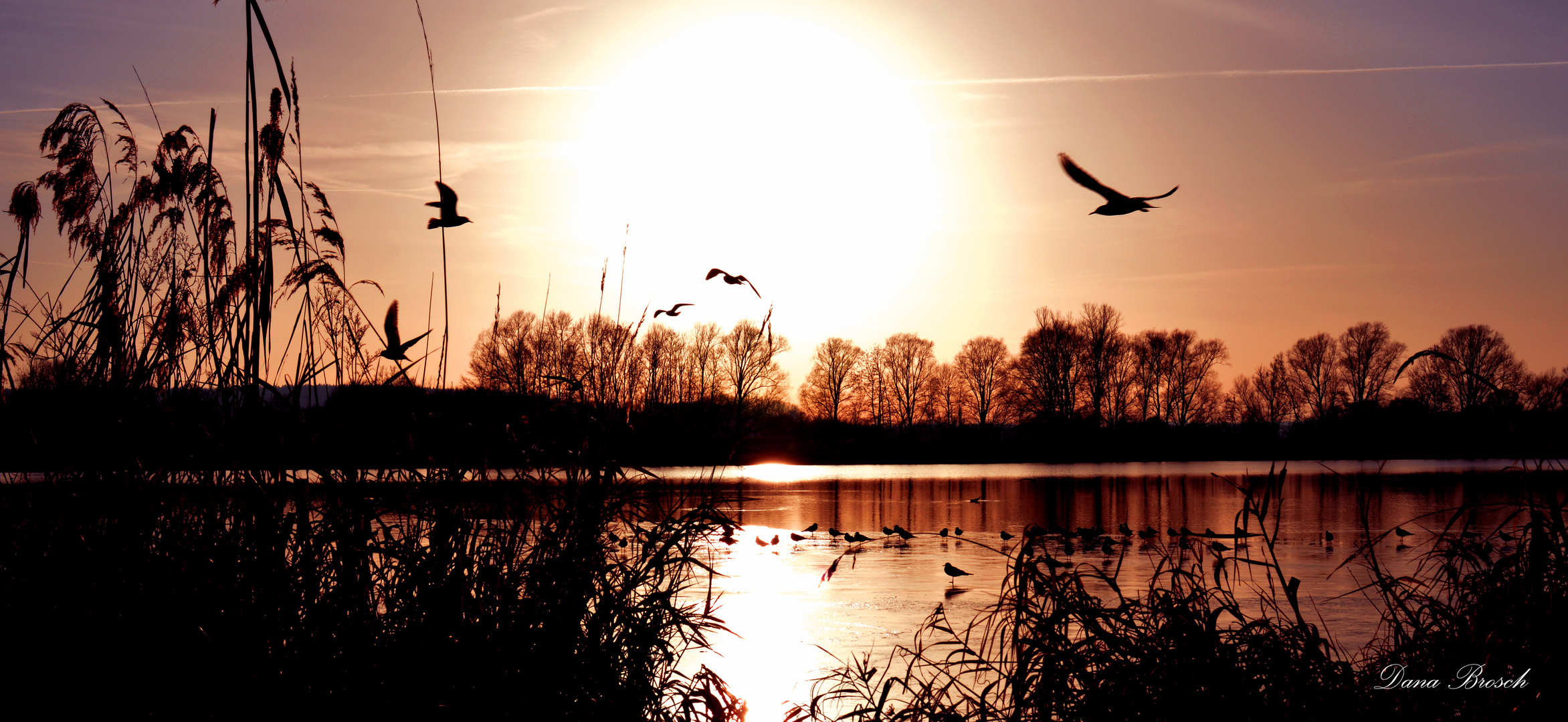 Vilstaler Stausee