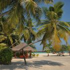 Vilu Reef Maldives