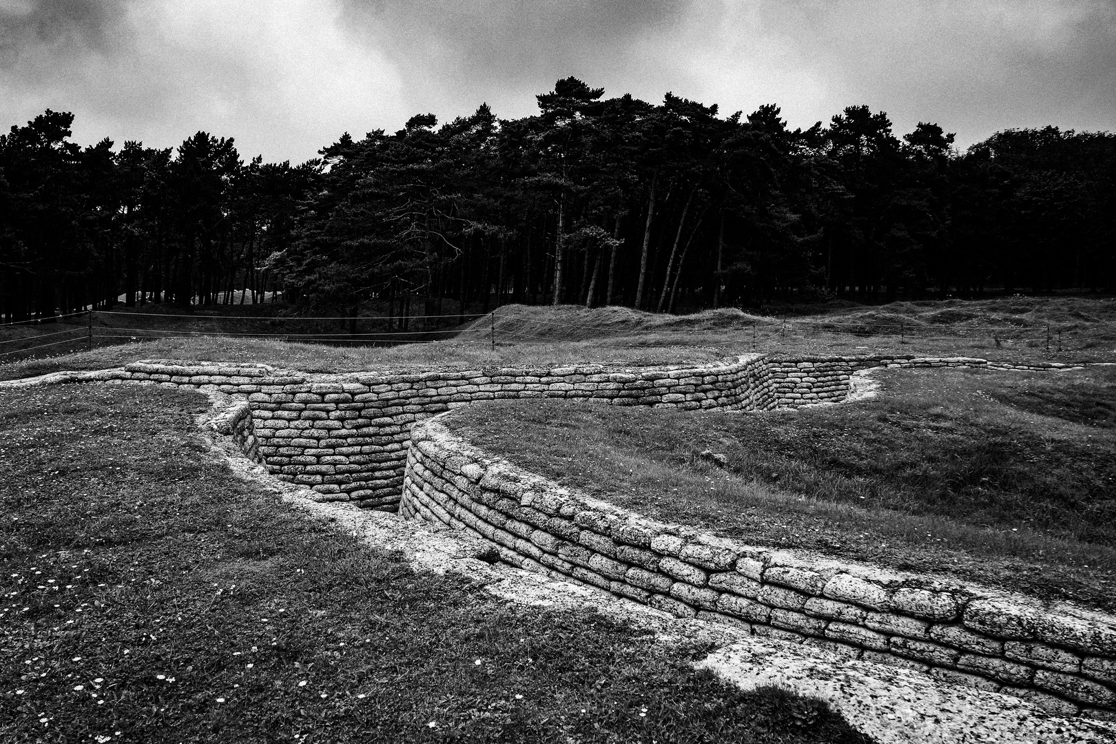 Vimy Ridge