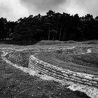 Vimy Ridge