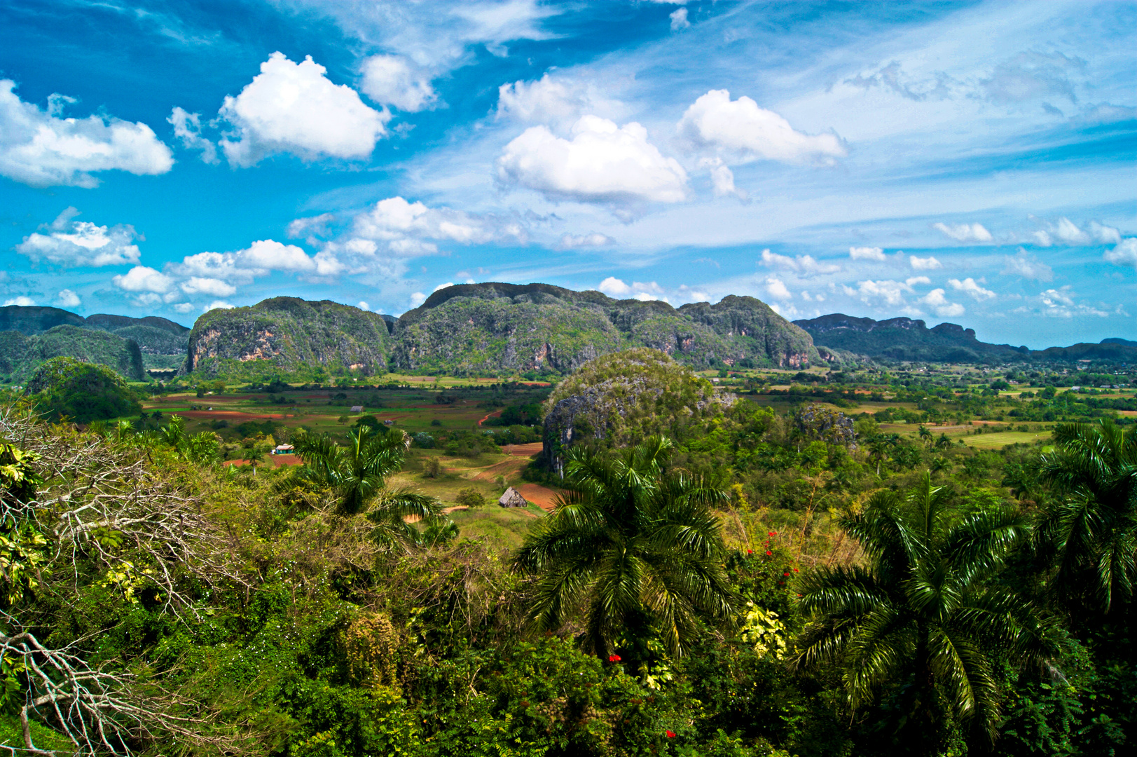 Vinales