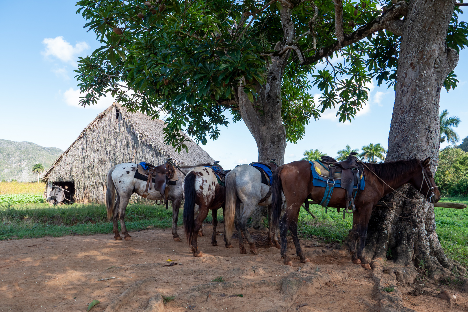 Vinales-73