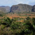 Vinales