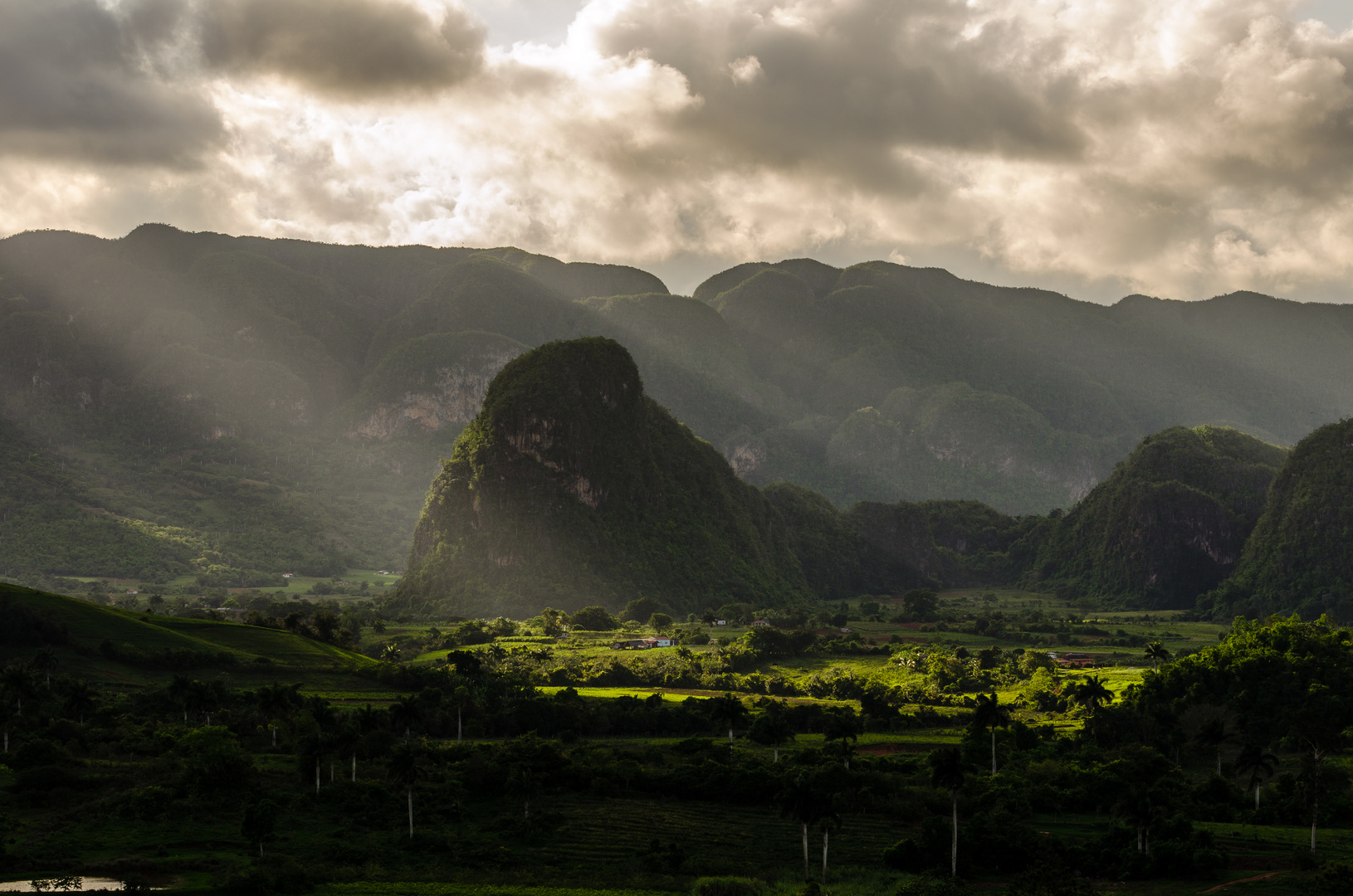 Vinales