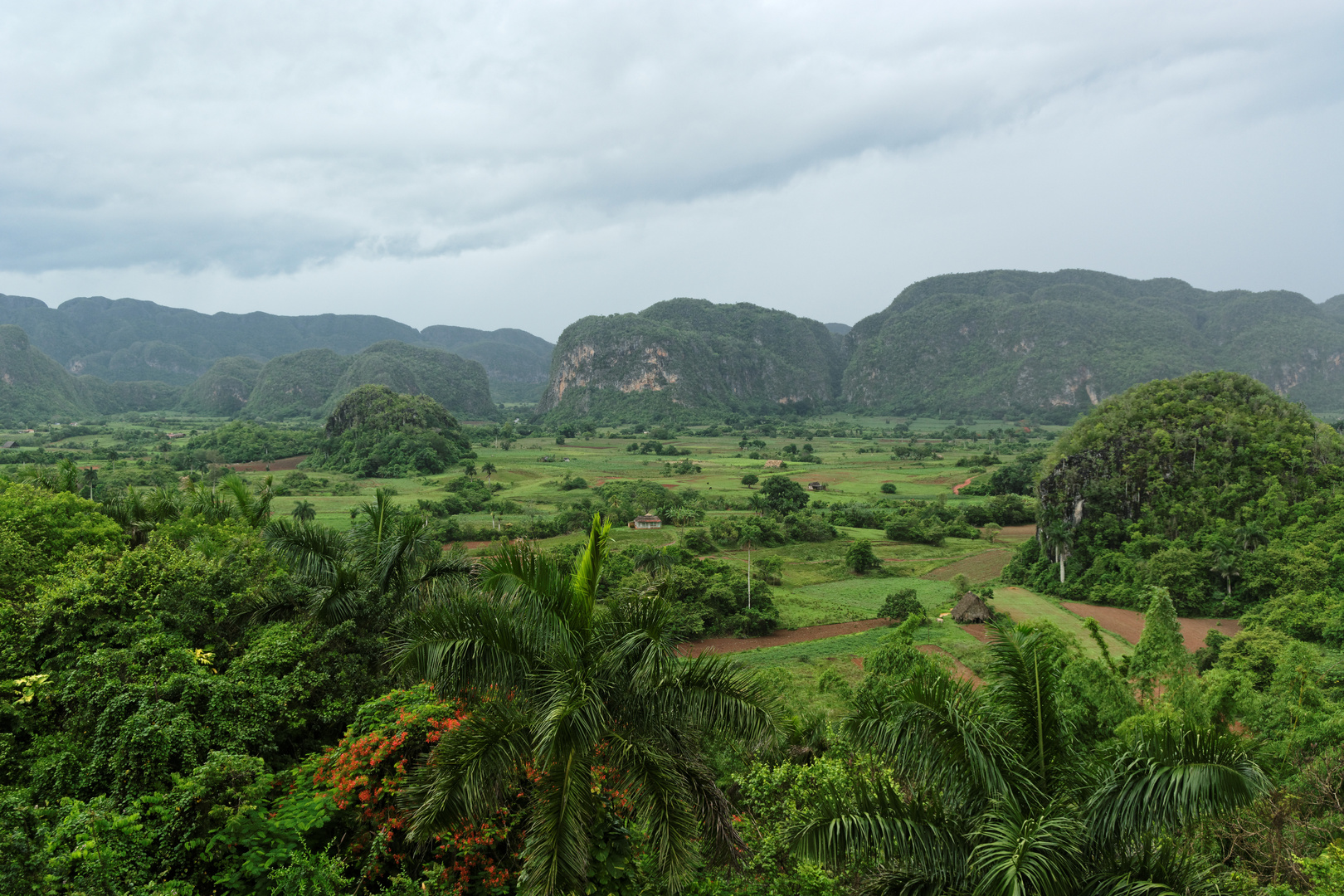 Vinales