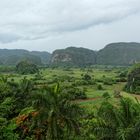 Vinales