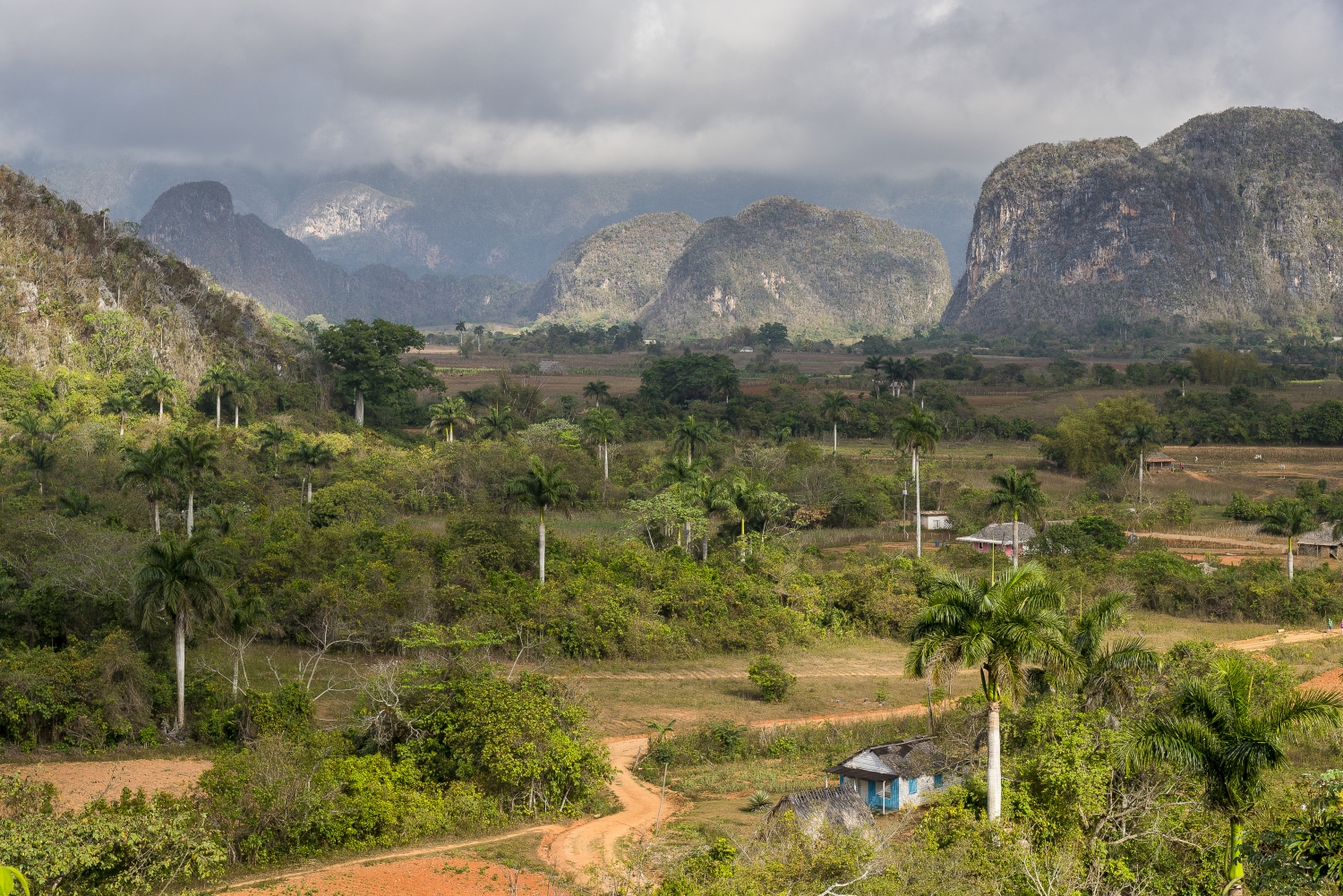 Vinales