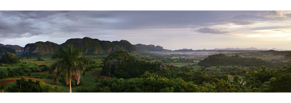 Vinales