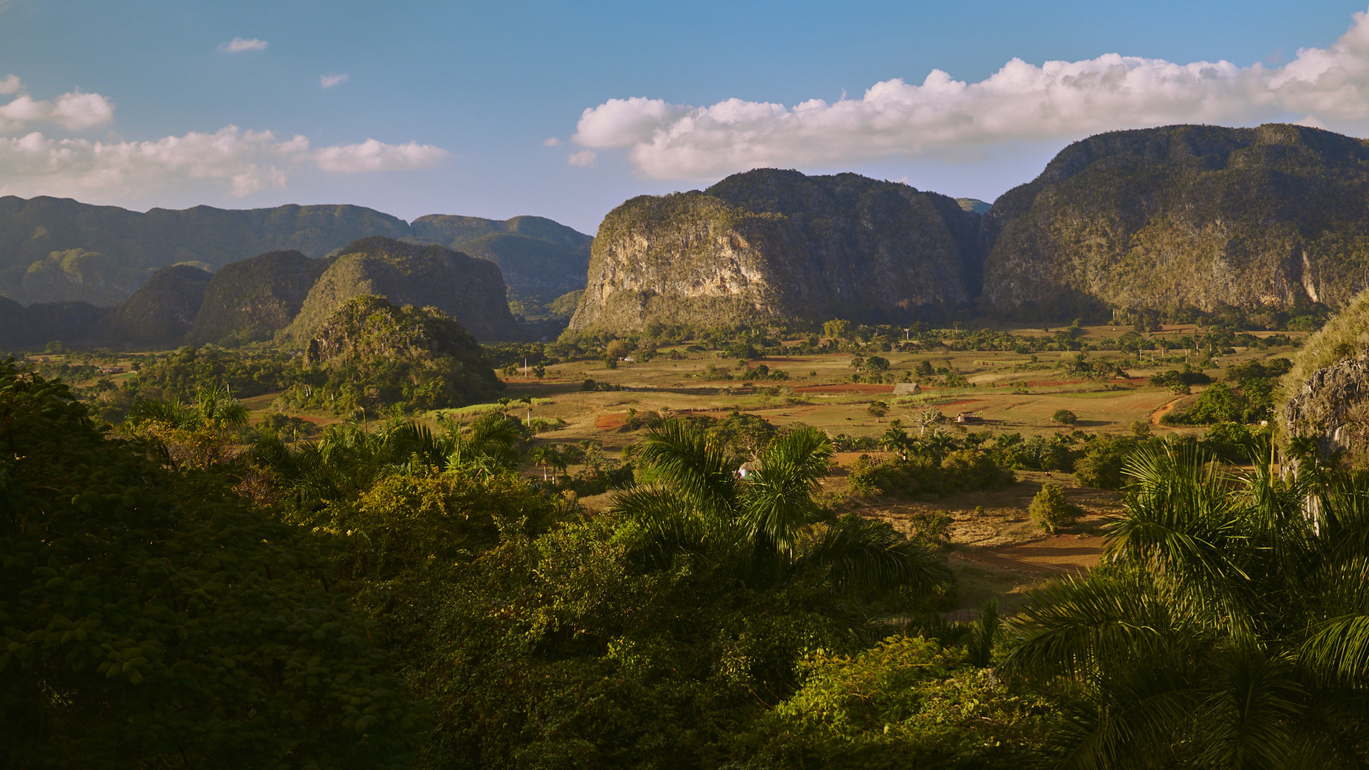 Vinales