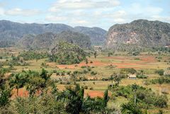 Vinales