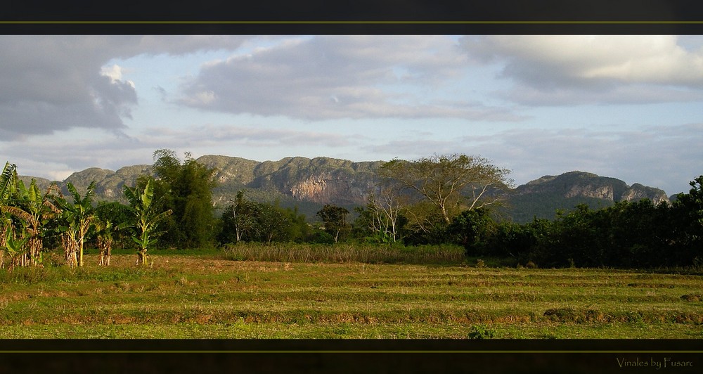 Vinales Cuba