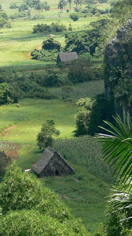 vinales, cuba