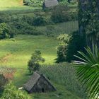 vinales, cuba