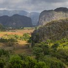 Vinales