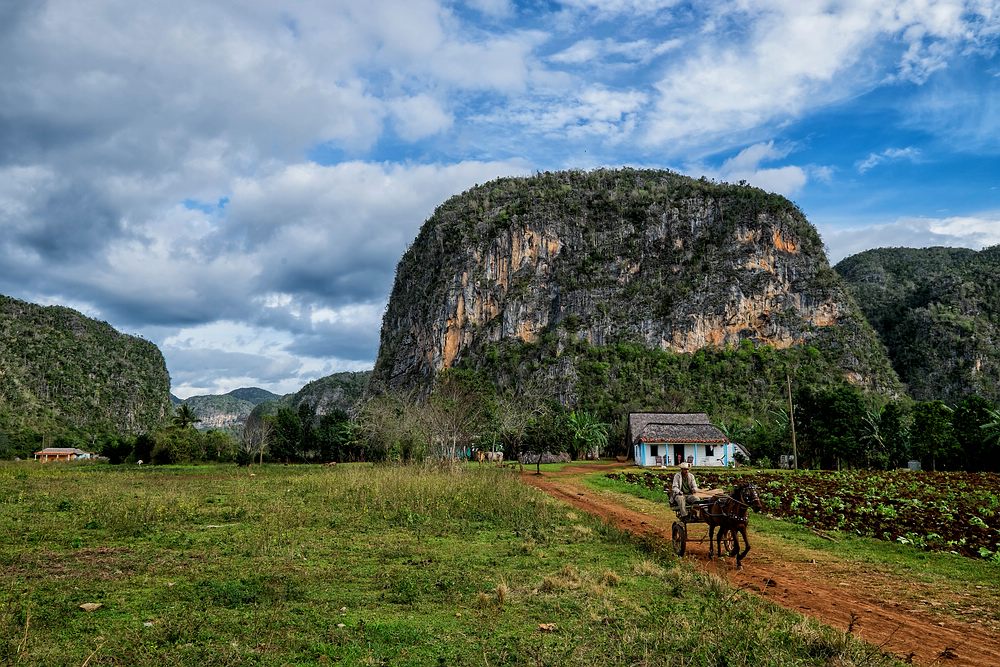 Vinales - Kubas Westen Foto & Bild | kuba 2016, natur ...