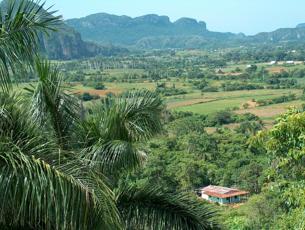 Vinales Tal