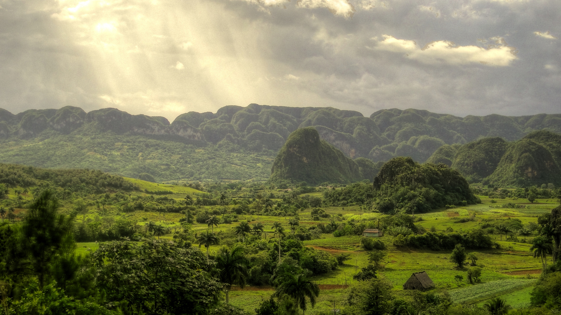 Vinales-Tal