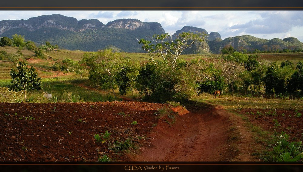 Vinales Tal CUBA