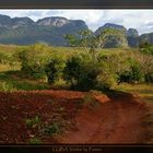 Vinales Tal CUBA