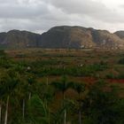 VINALES TAL IN CUBA