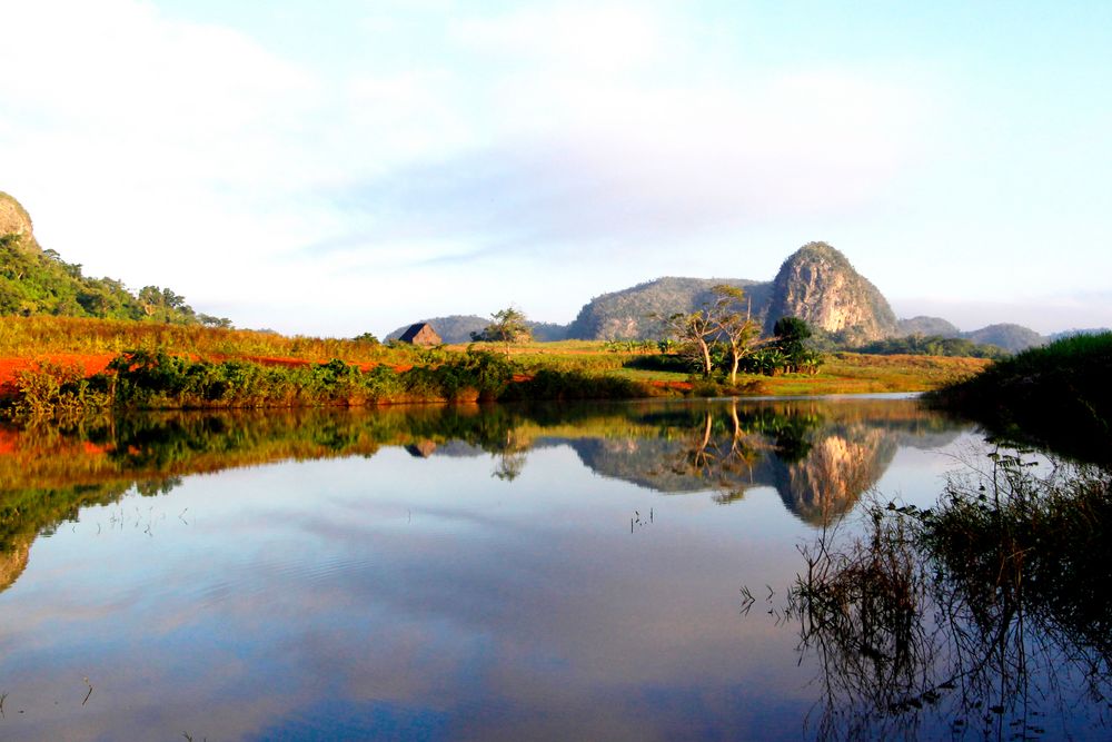 vinales-tal- Original