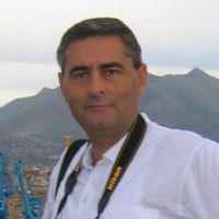 Vincenzo Occhipinti