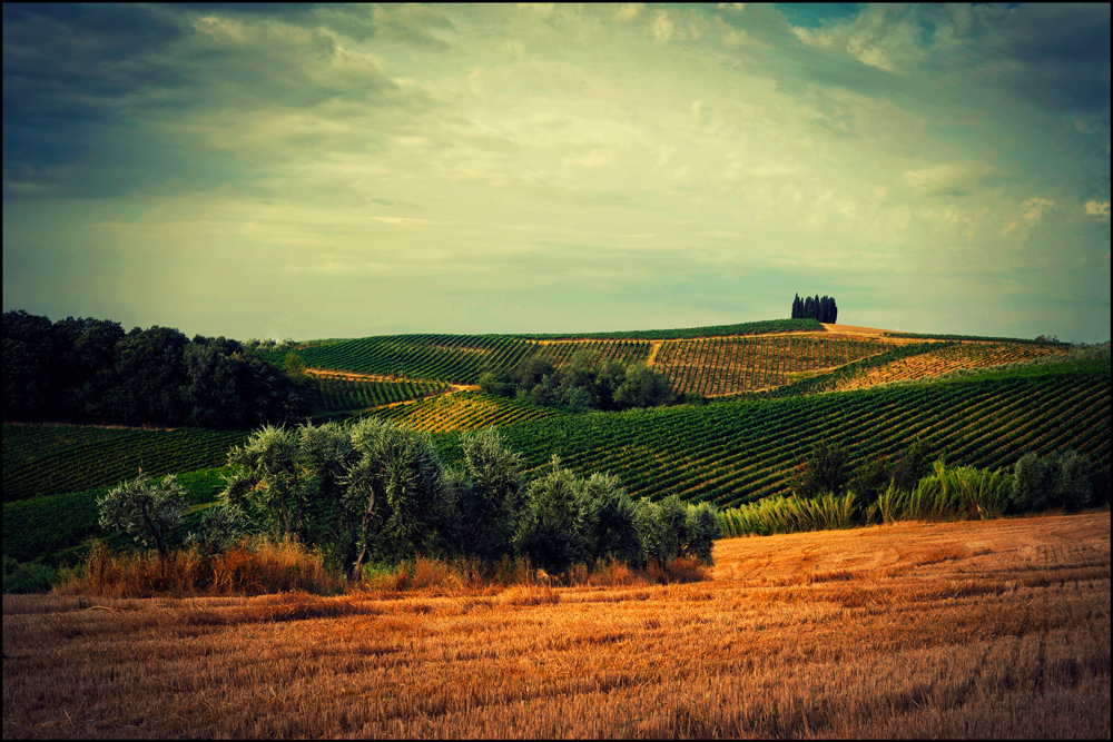 Vinci, Toscana