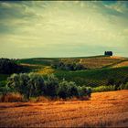 Vinci, Toscana