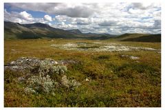 Vindelfjäll Naturreservat I