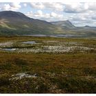 Vindelfjäll Naturreservat II