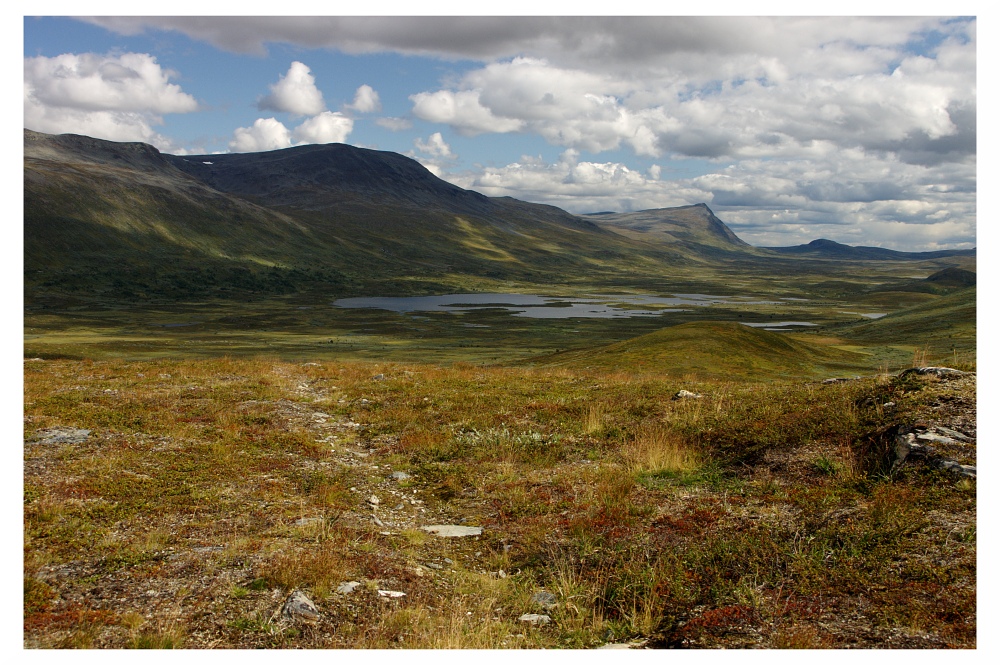 Vindelfjäll Naturreservat III