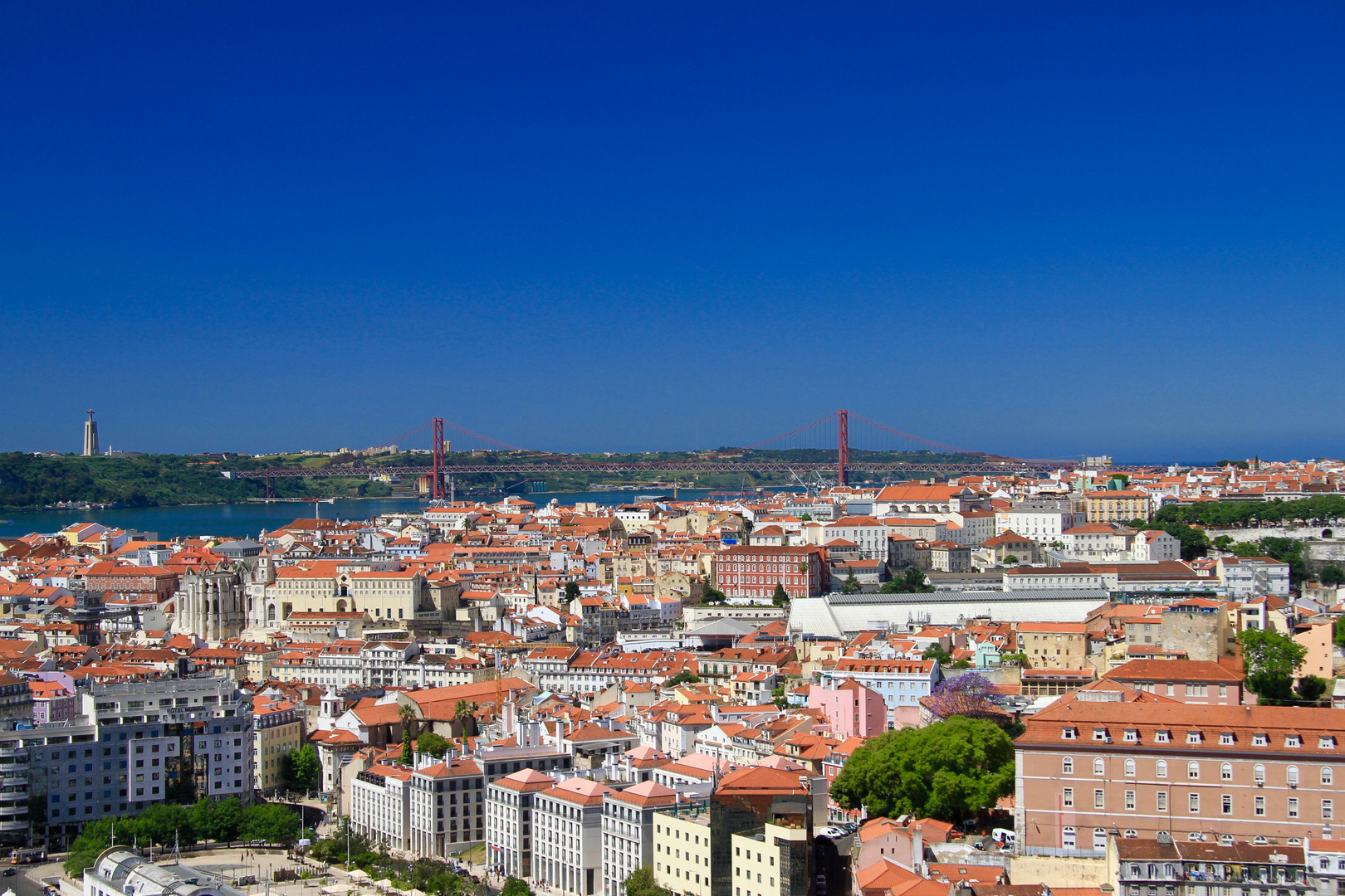 Vine with a View on Lisbon