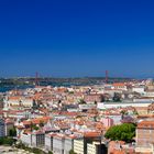 Vine with a View on Lisbon