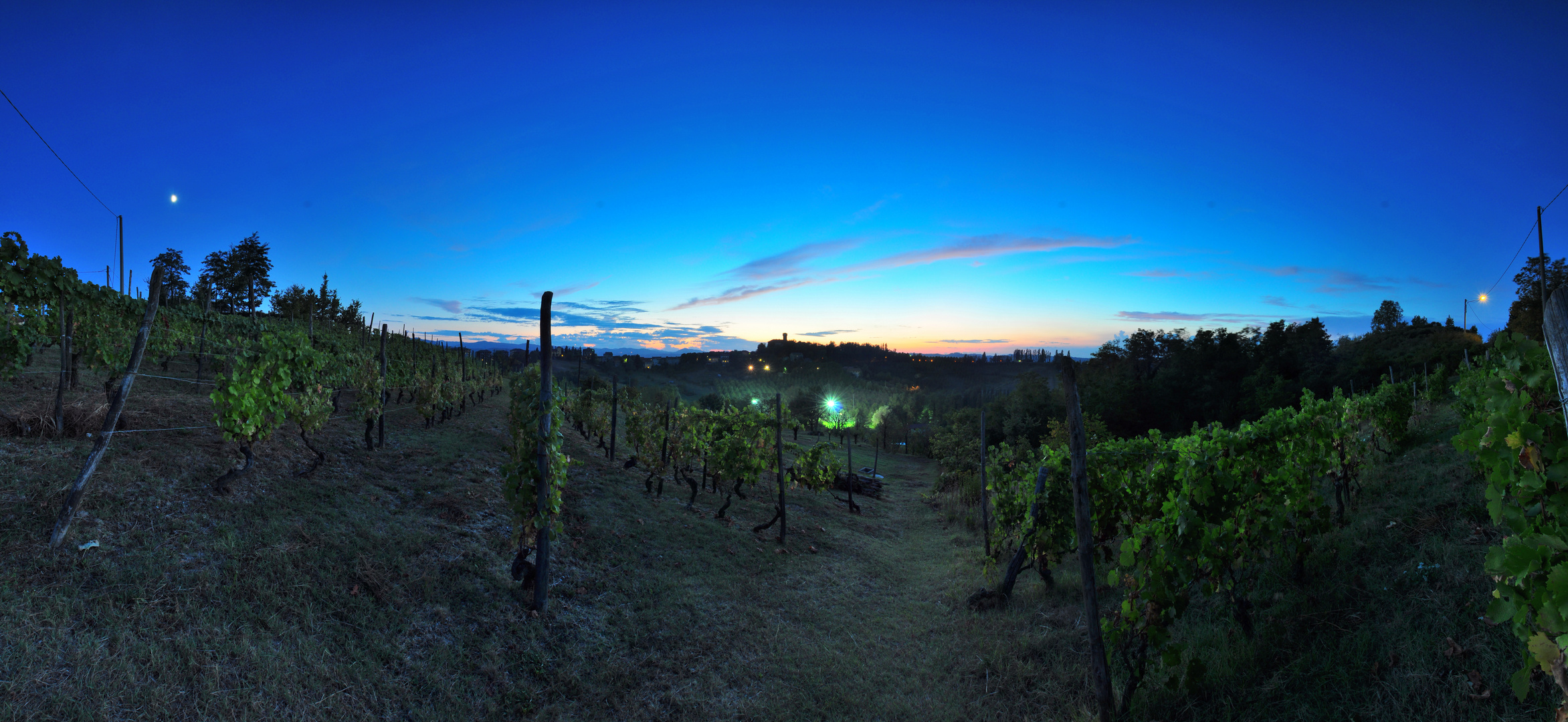 Vineyards at dusk, Tagliolo, Italy. Vigneti al crepuscolo, Tagliolo.