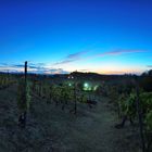 Vineyards at dusk, Tagliolo, Italy. Vigneti al crepuscolo, Tagliolo.