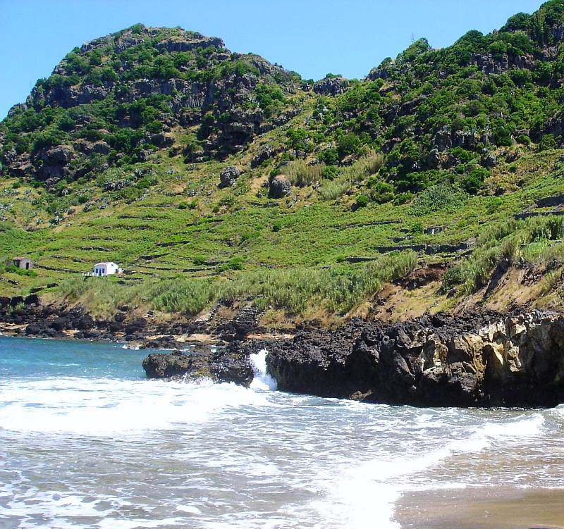 Vineyards meet the Ocean