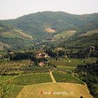 vineyards Toscani