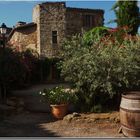 VINEZAC ( petit village d'Ardèche)