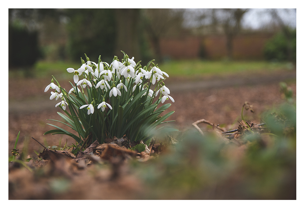 VINNER FRIEDHOF V