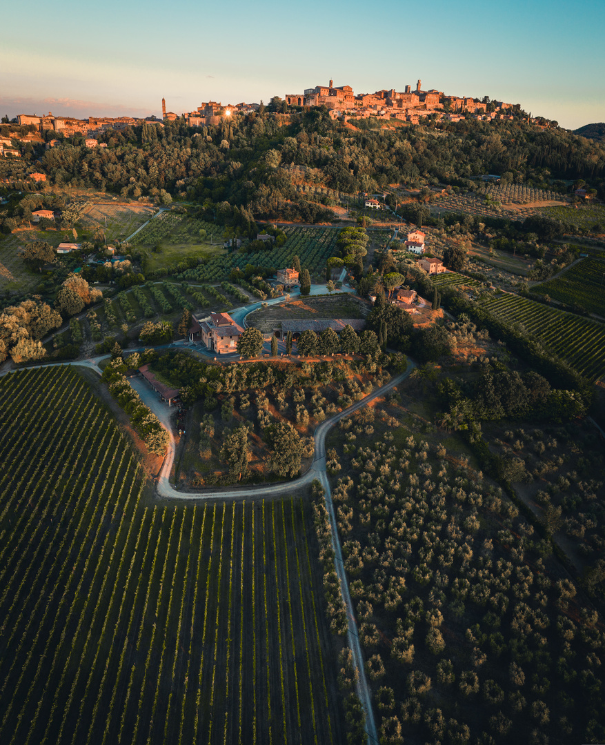 Vino Nobile di Montepulciano 