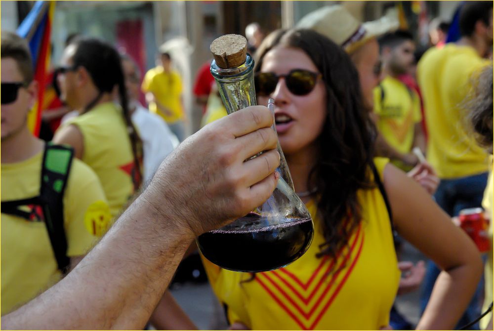 Vino tinto del Priorato (Tarragona)