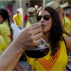 Vino tinto del Priorato (Tarragona)