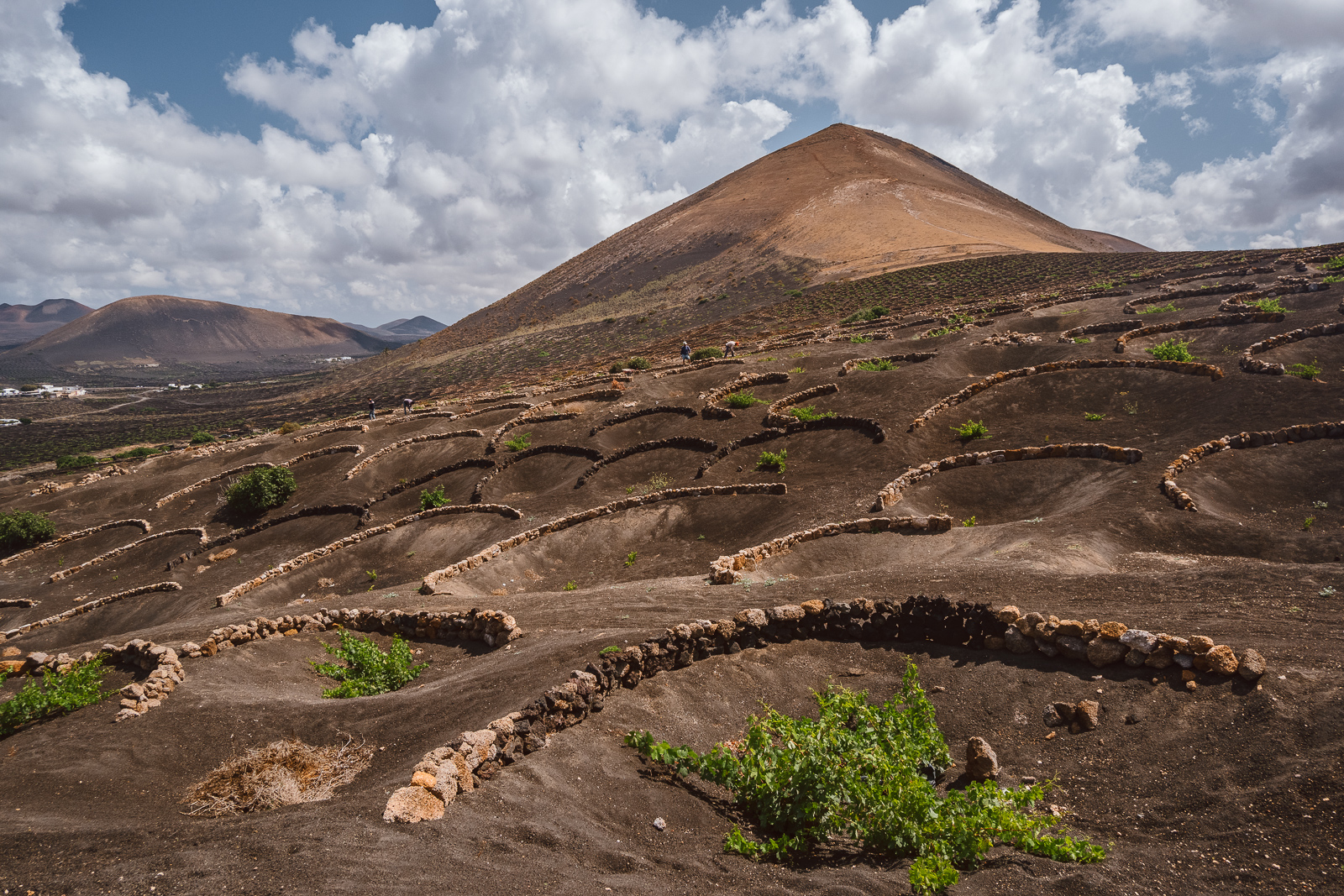 Vino y volcanes