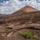 Vino y volcanes