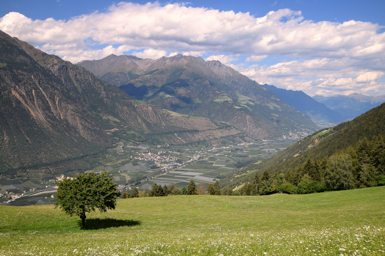 Vinschgau