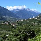 Vinschgau