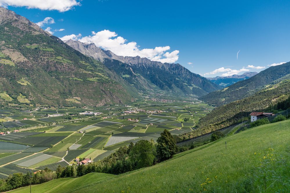 Vinschgau 